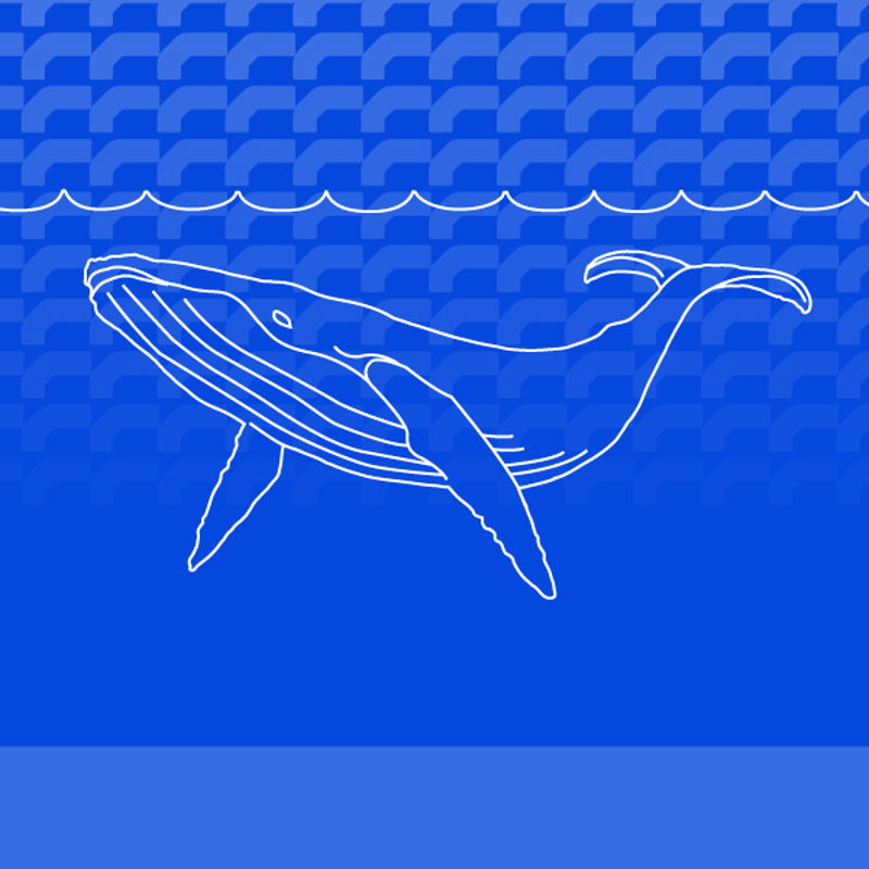 Whale image, artwork: RPS