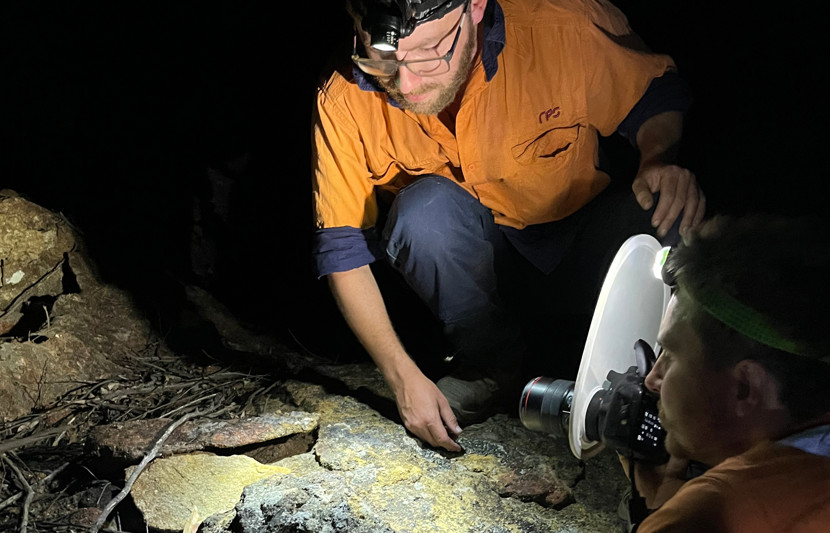 RPS ecologists working at night