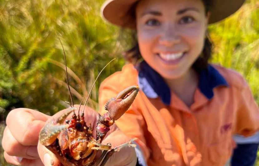 RPS ecologist Tara is dressed in orange his-vis gear and holds a yabby in her hand. 