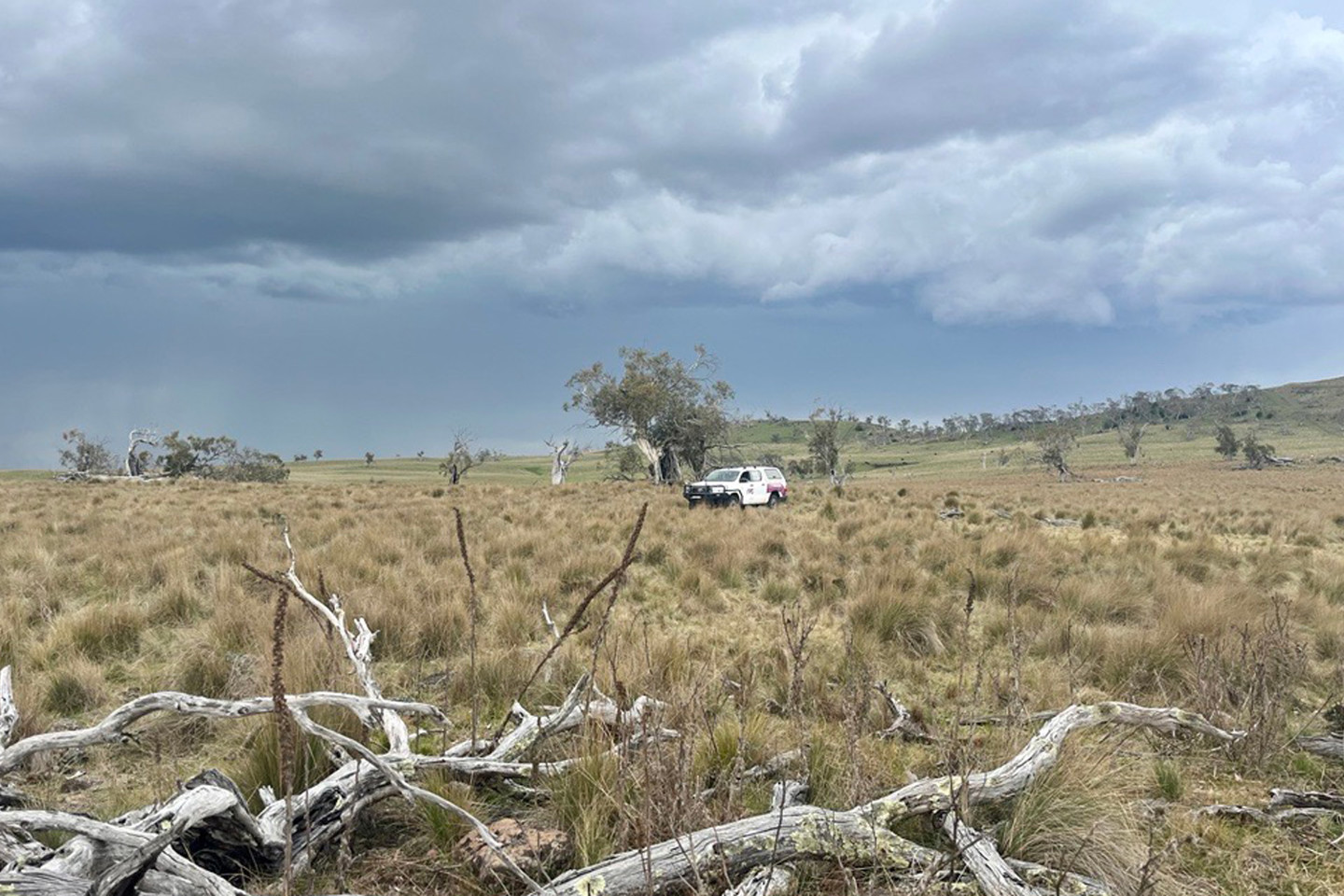 RPS vehicle with burgundy logo drives through bushland - the vegetation looks harsh and has a spinifex resemblance. In the foreground lay remnants of fallen down trees. 