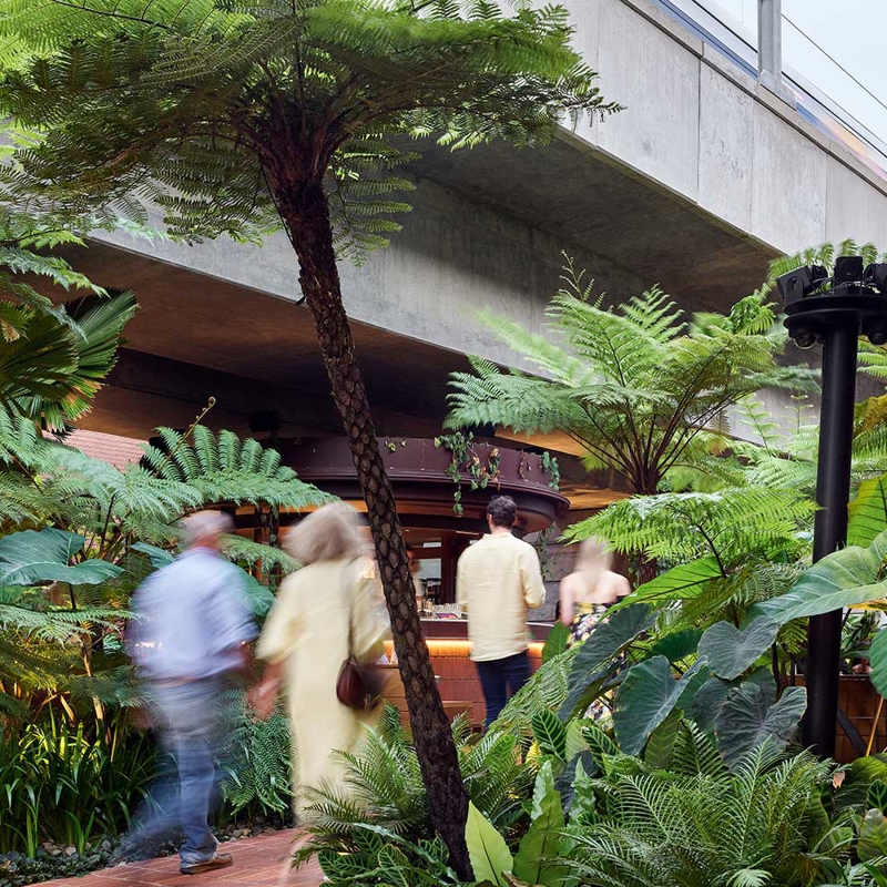 Fish Lane Town Square in Brisbane. Image credit: Scott Burrows