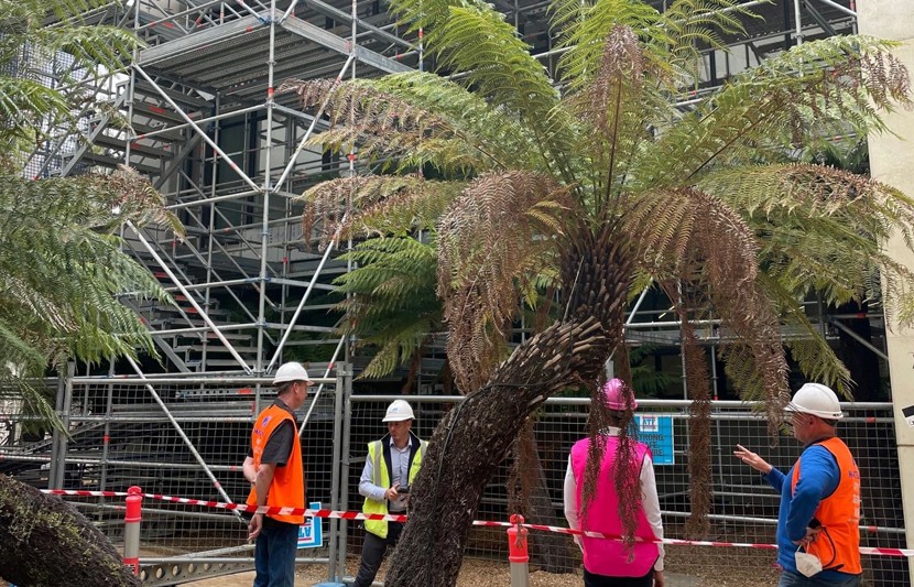 RPS project managers inspect scaffolding in the National Gallery’s Fiona Hall Garden